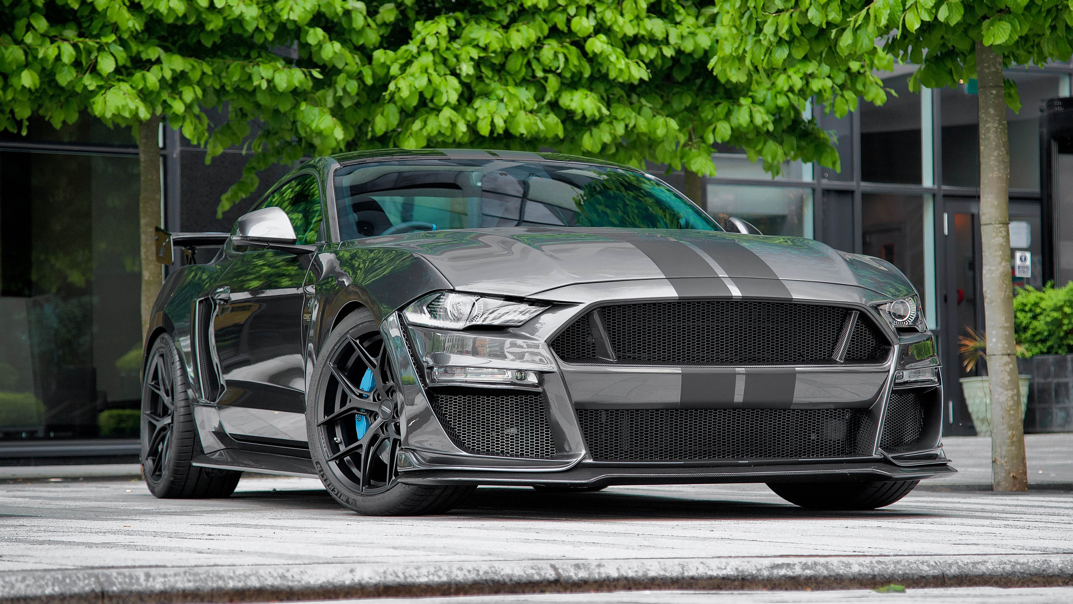 Clive Sutton Mustang
