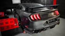 Clive Sutton Mustang