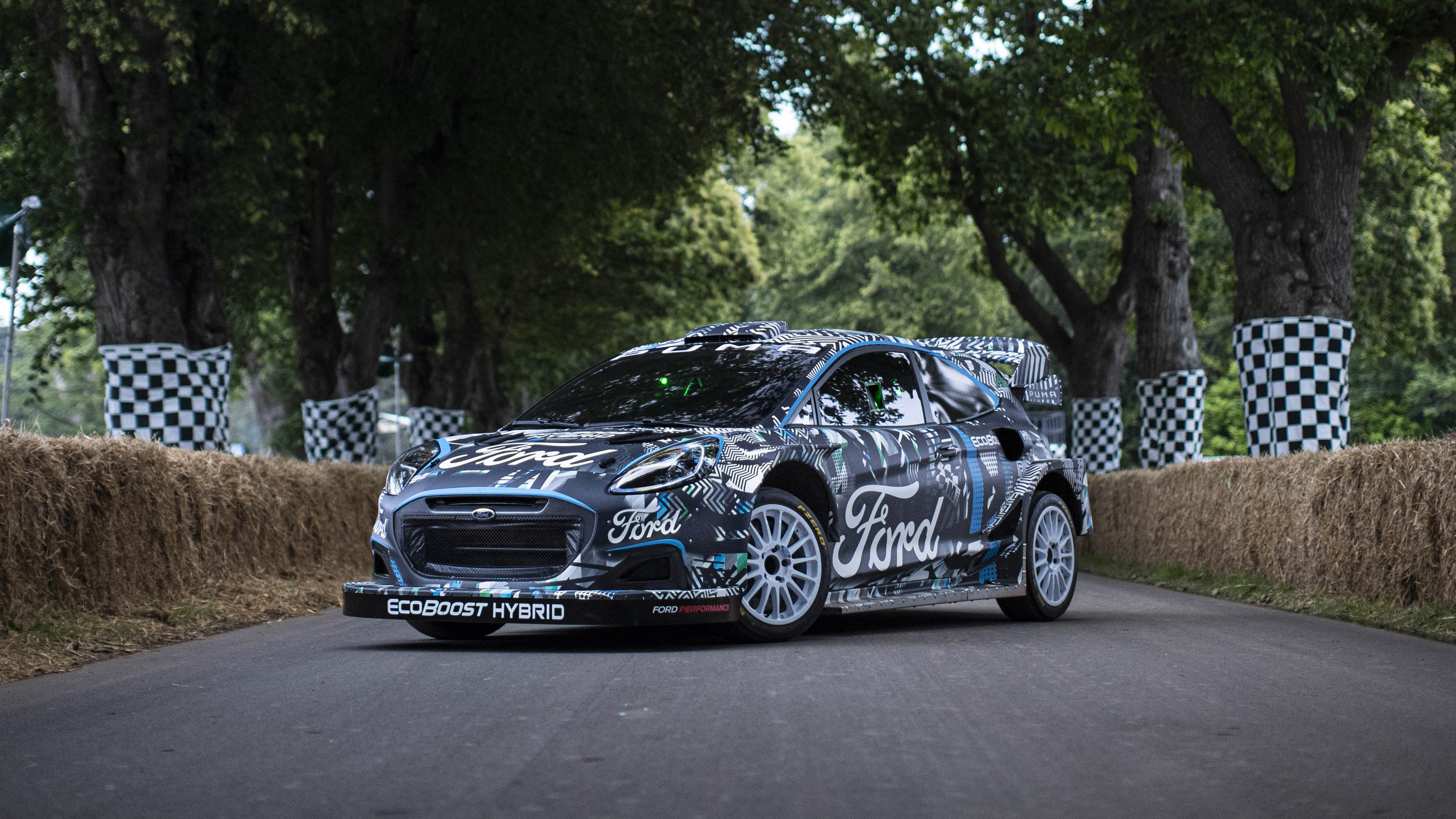 Puma rally cheap car