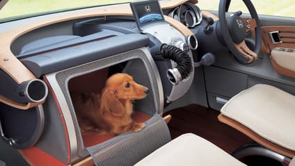 Dog sitting in the WOW concept's glovebox