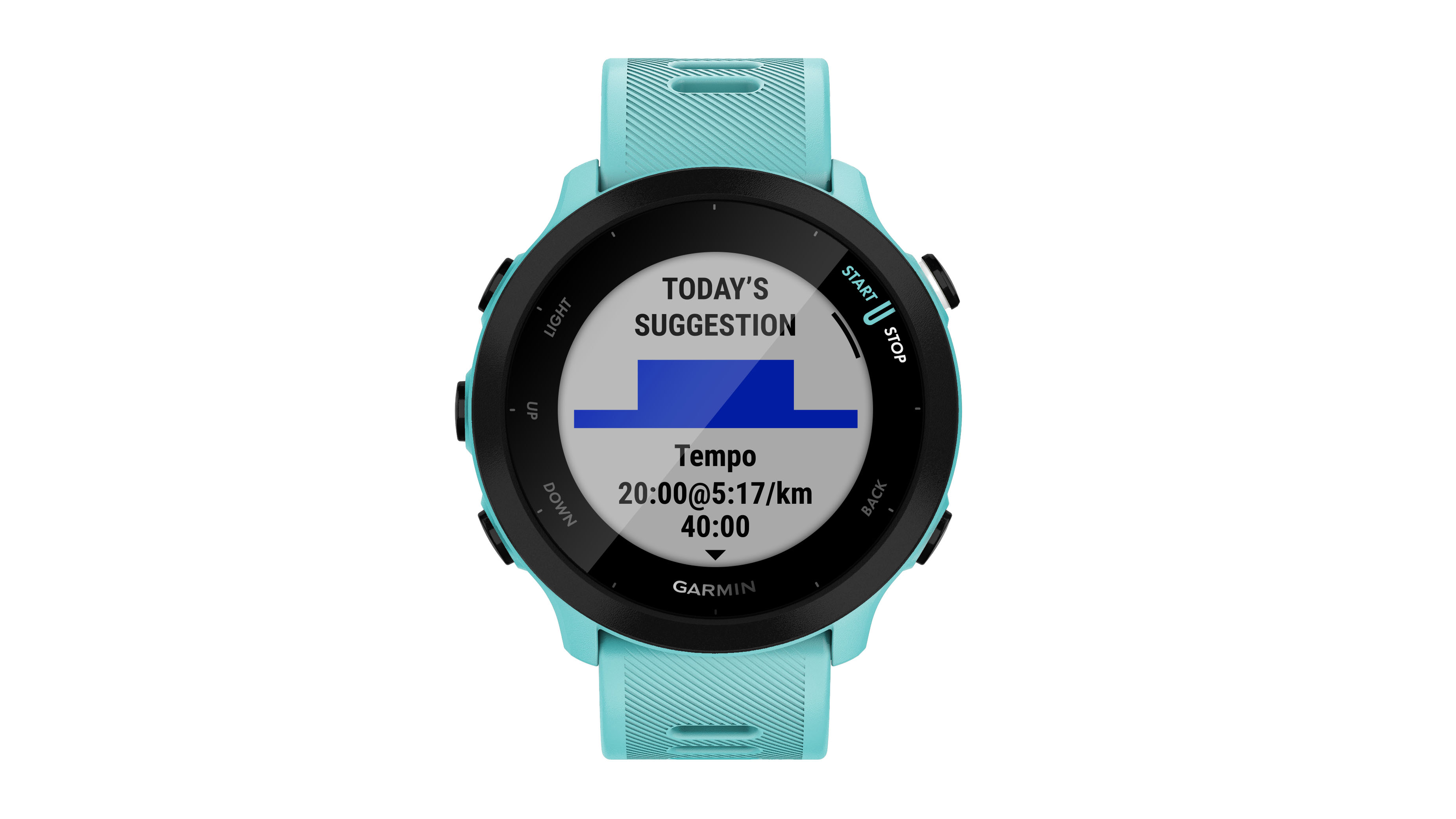 garmin forerunner 239