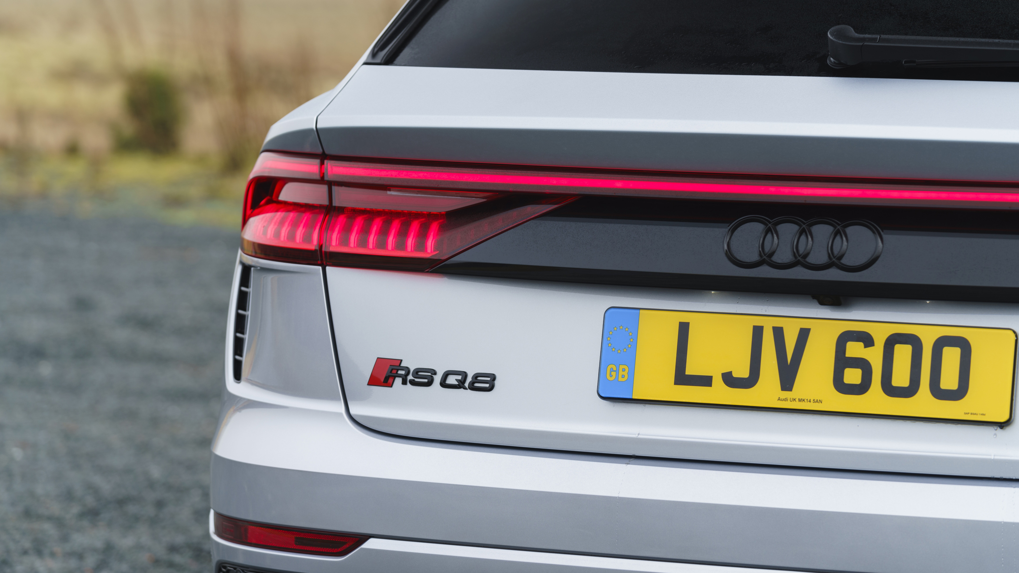 2023 Audi RS Q8 Review: Furiously Fast and Dog Friendly