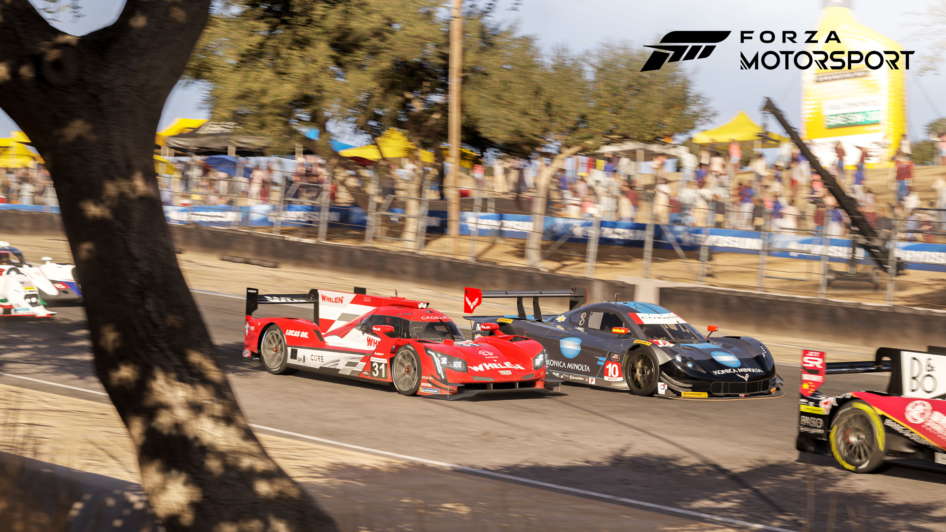 Why Forza Motorsport 5 has fewer cars and tracks than Forza 4