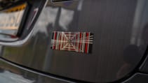 Tesla Model S Plaid badge