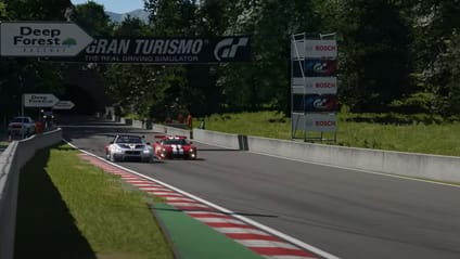 Deep forest Raceway