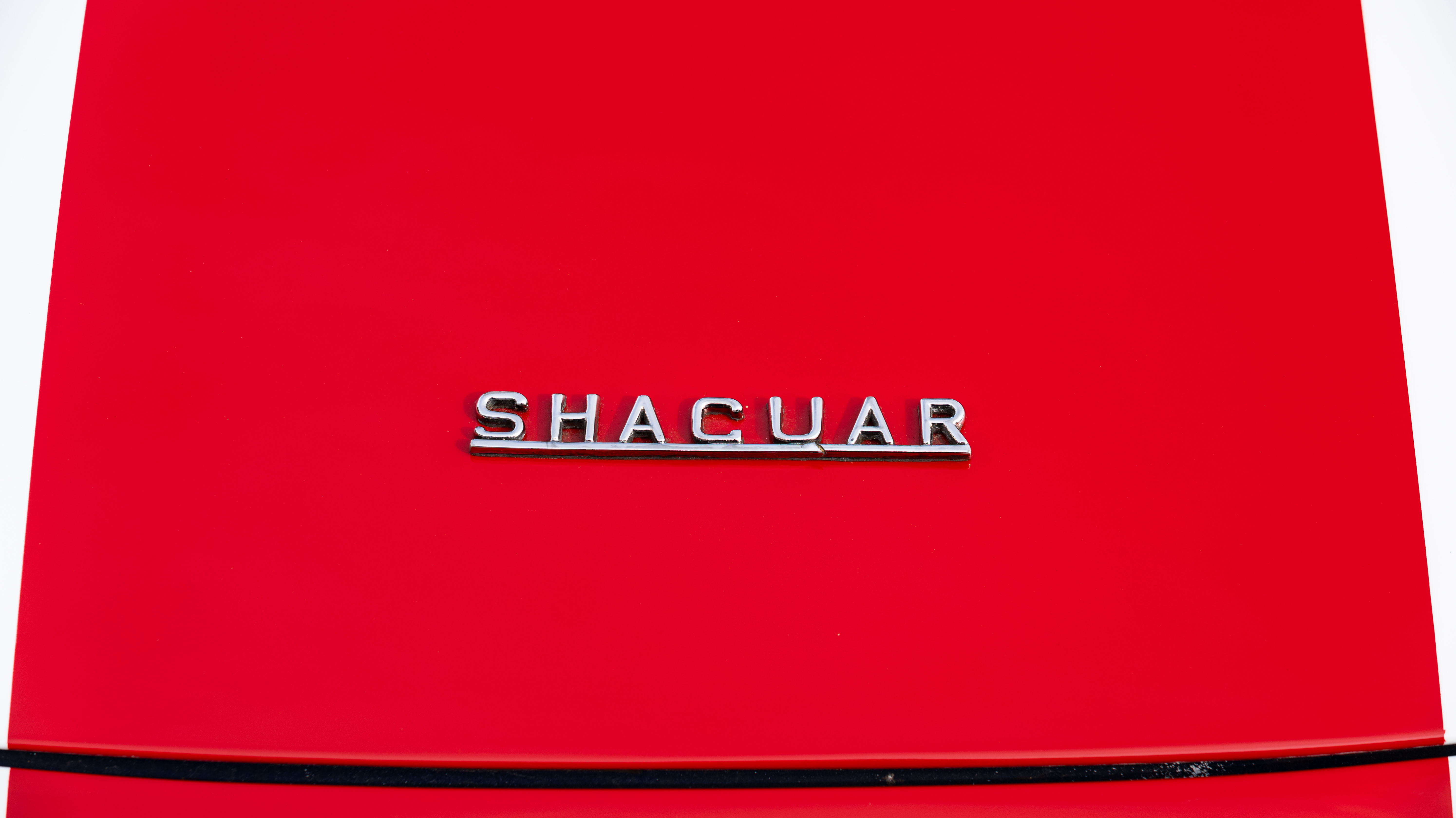 Austin Powers Shaguar for sale