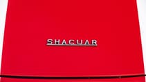 Austin Powers Shaguar for sale