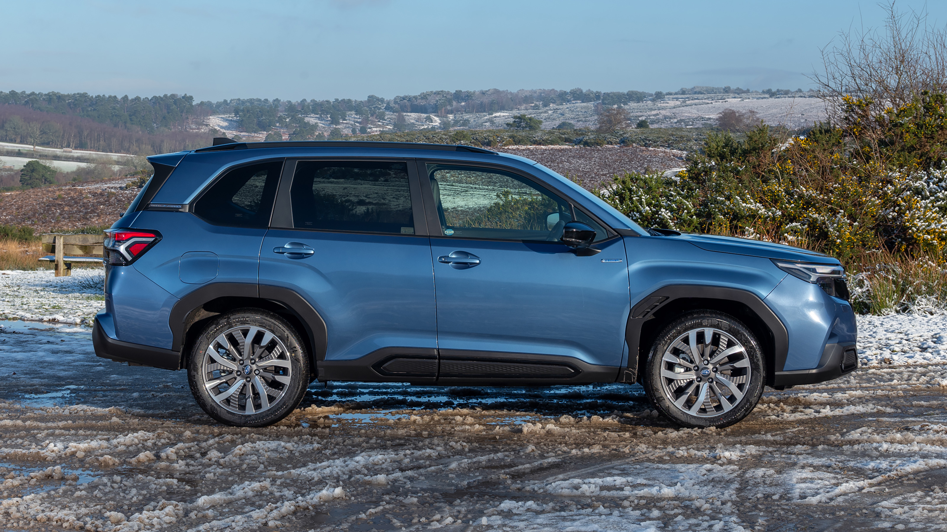 Subaru Forester profile
