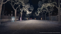Gaussian splat render of Volvo sensor data points - trees
