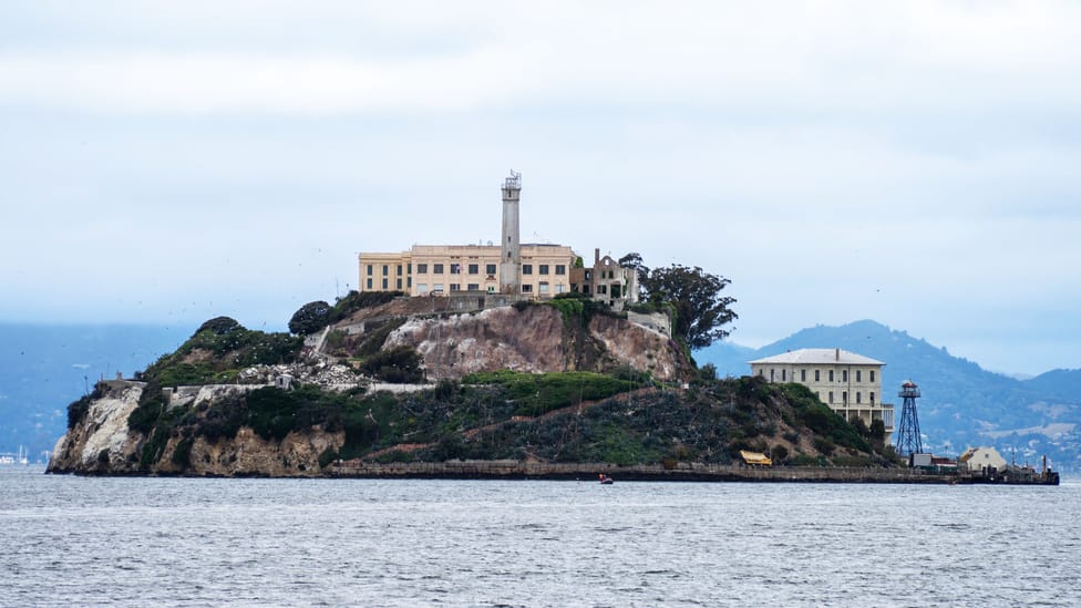 SATIRE Alcatraz