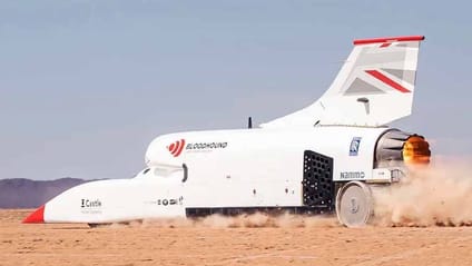 Bloodhound LSR