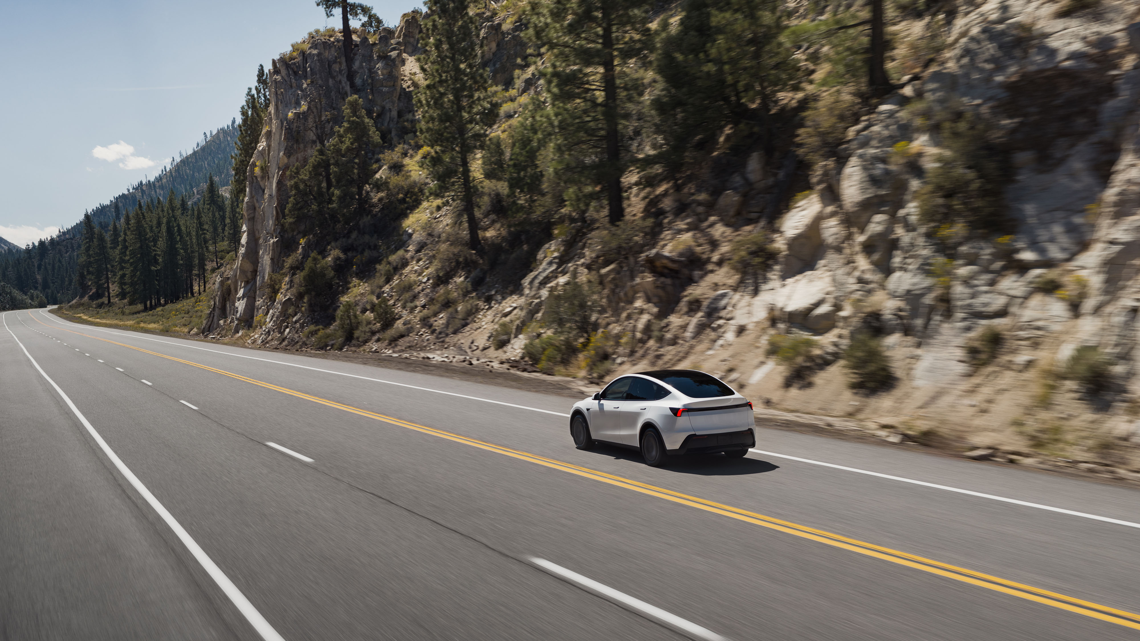 Tesla Model Y Standard UK