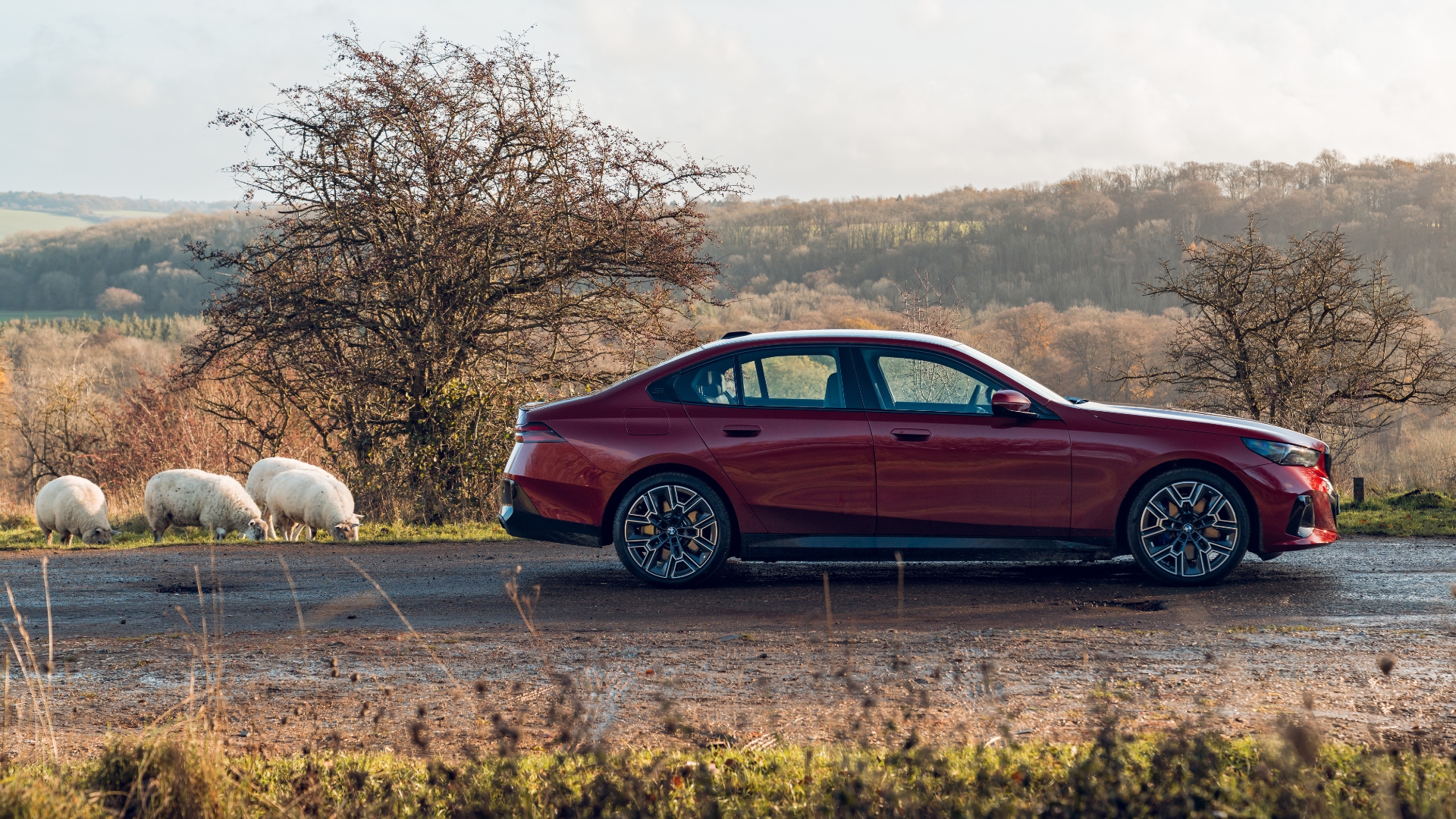 BMW 550e parked on a rural road pictured from the side with sheep in the background