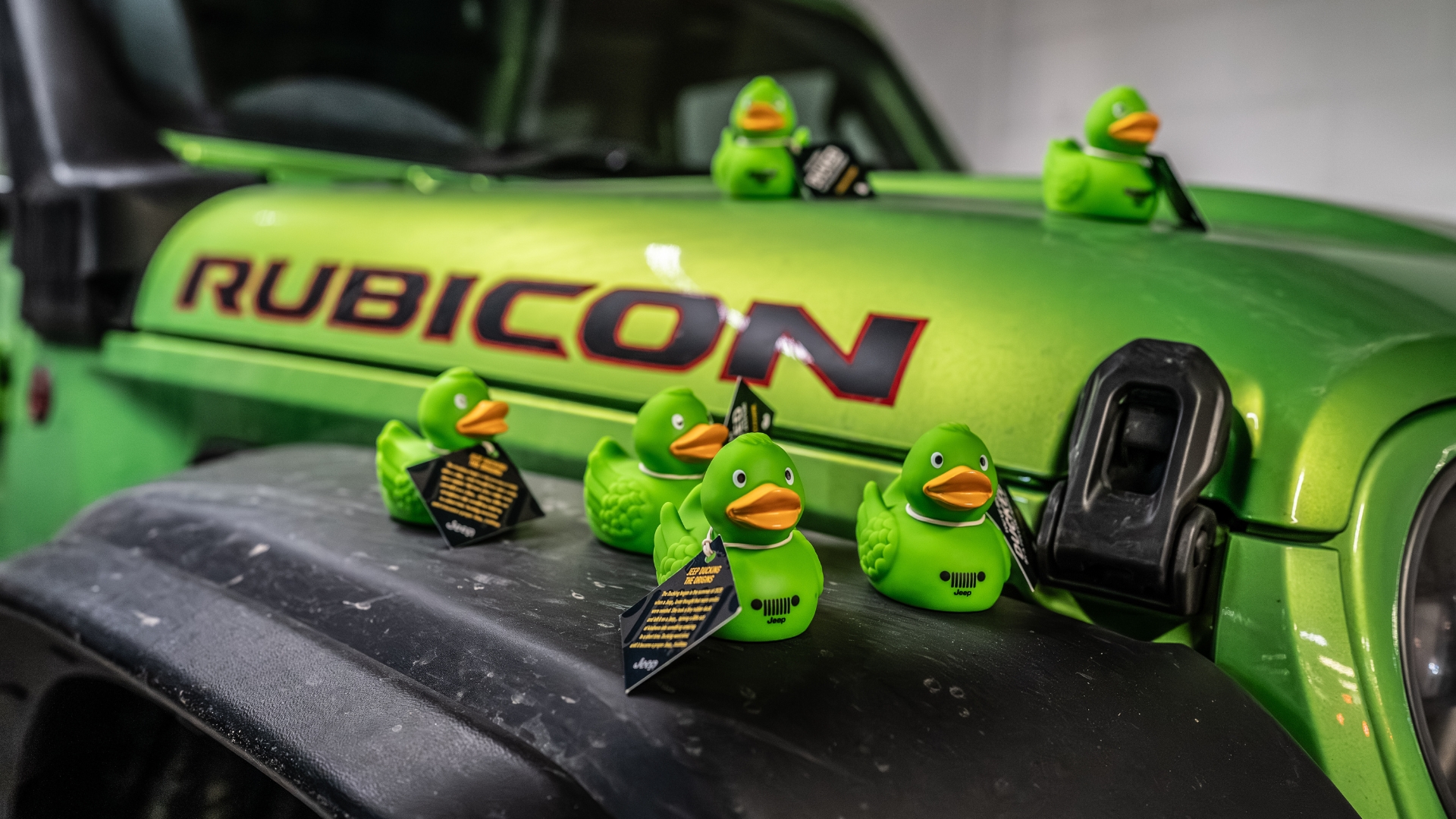 Jeep Wrangler Rubicon - long-term review - Report: 5