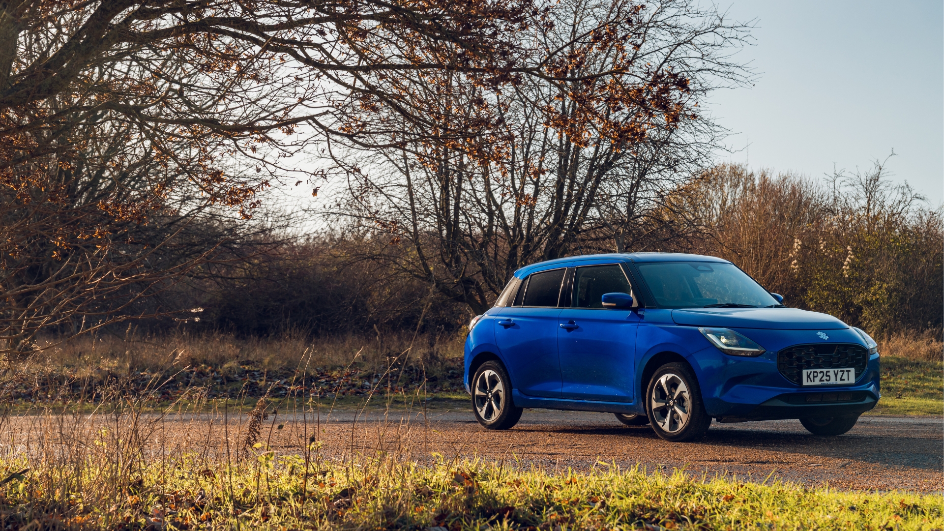 Suzuki Swift parked outside with greenery in the background