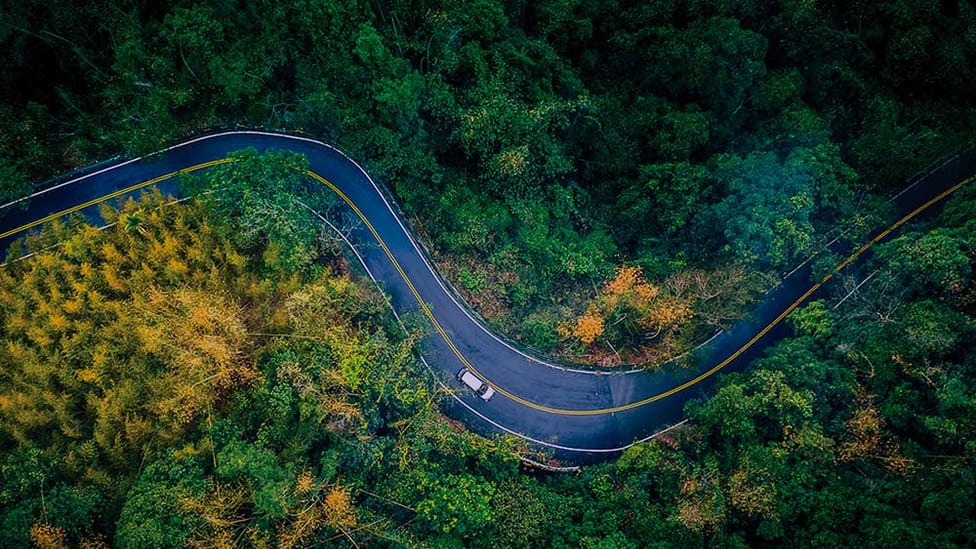 A paved road with yellow lane markings snakes through lush foliage