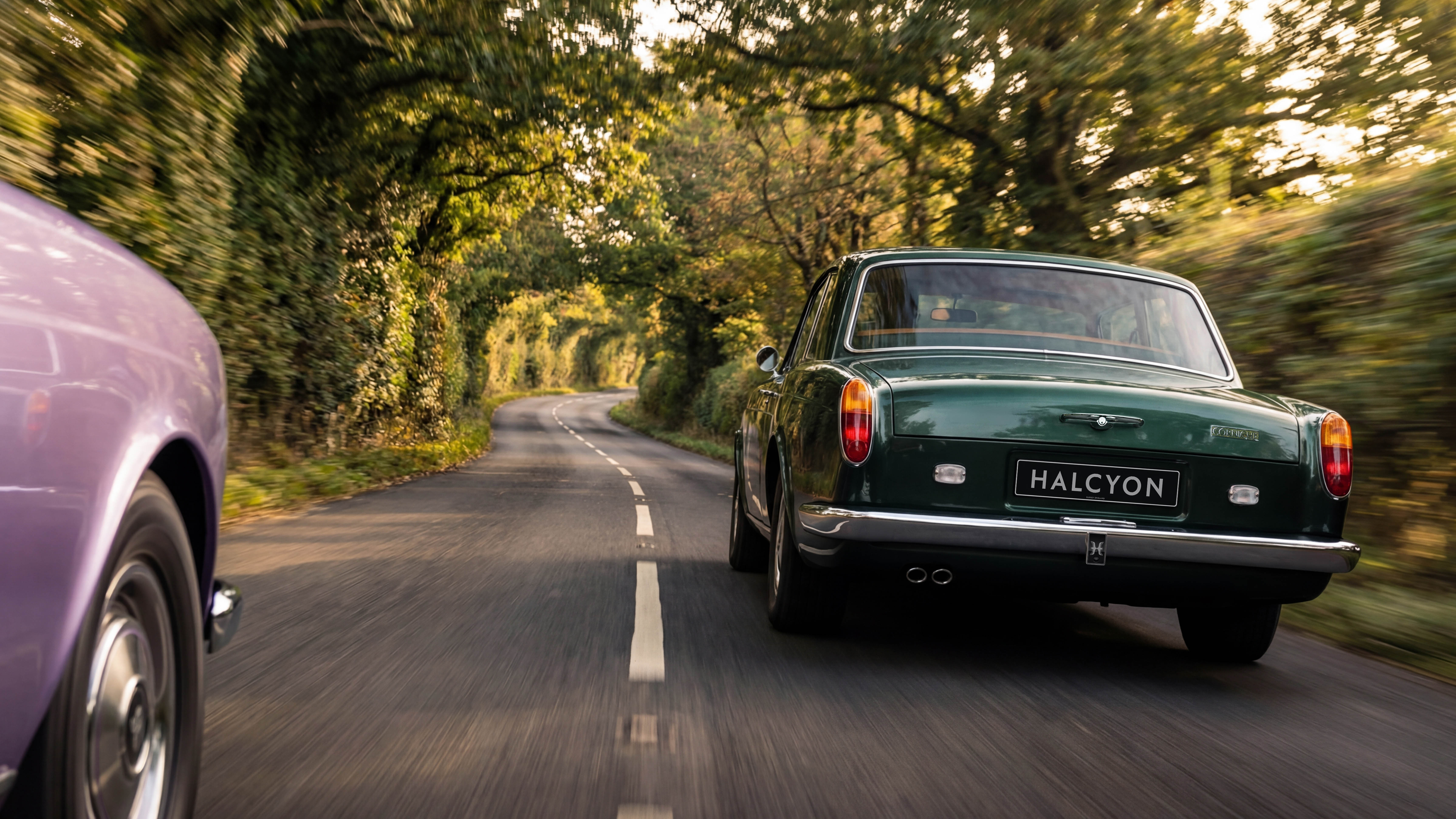 Halcyon Rose and Scroll Top Gear