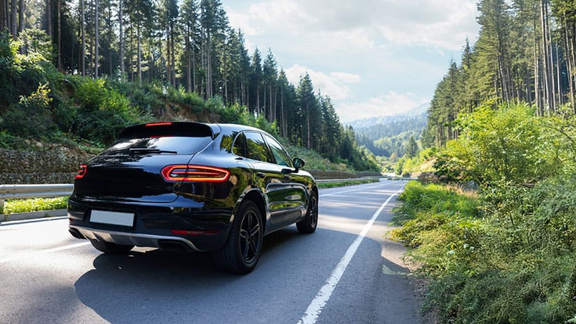A sleek, black car drives on a scenic, winding road flanked by tall pine trees on a sunny day