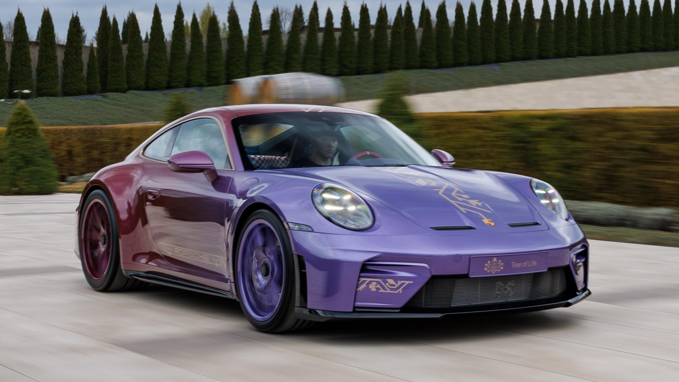 Porsche 911 GT3 Touring Tree of Life Moldova Top Gear
