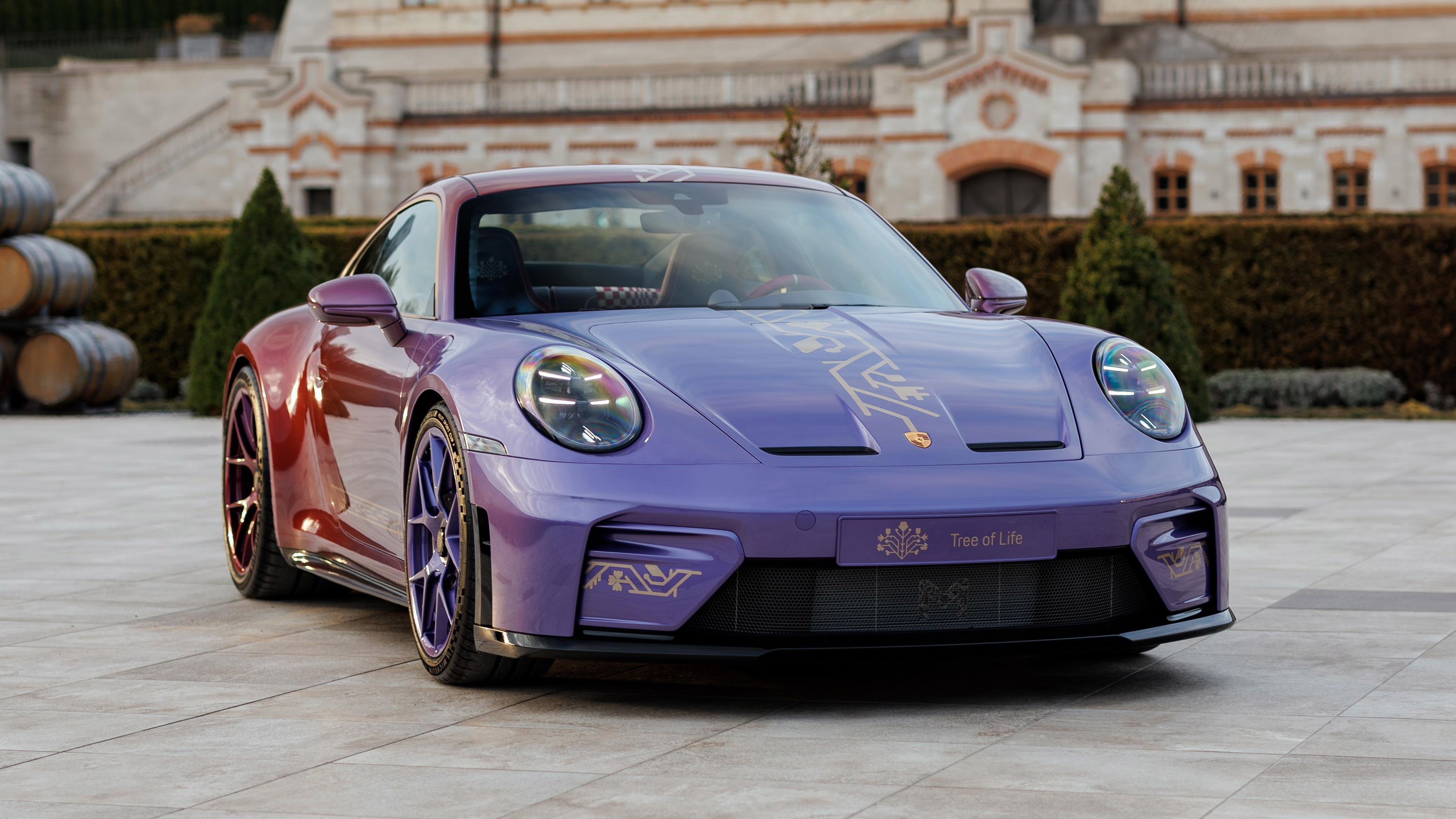 Porsche 911 GT3 Touring Tree of Life Moldova Top Gear