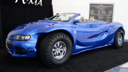 Youabian Puma