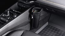 Dacia Striker revealed