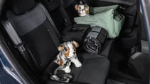 Dacia Striker revealed