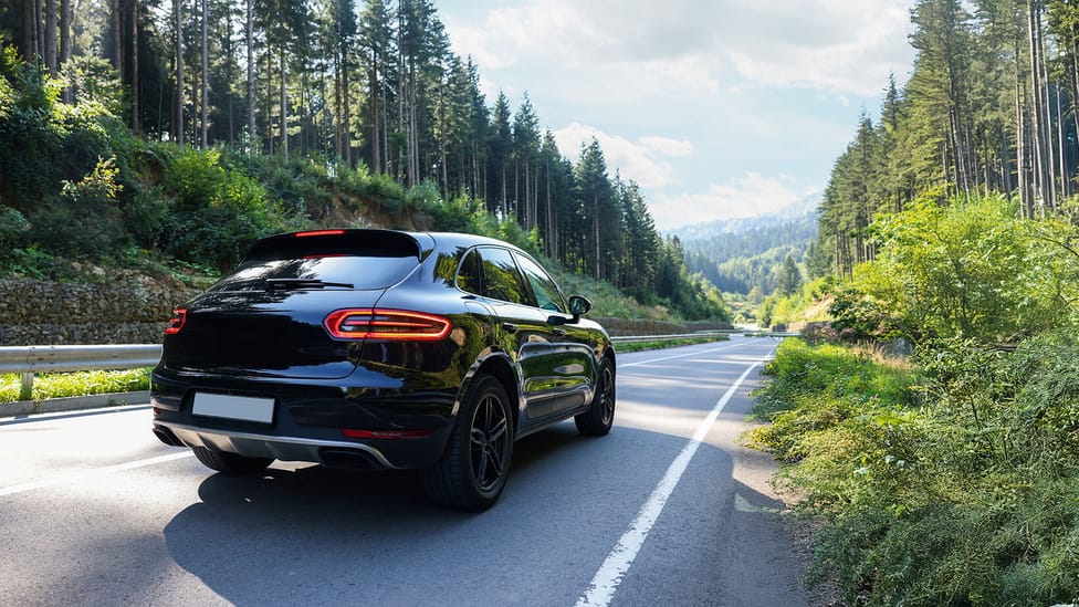 A sleek, black car drives on a scenic, winding road flanked by tall pine trees on a sunny day