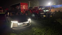 DS No 8