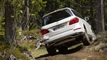 buyers_guide_-_mercedes_gl-class_2014_-_rear.jpg