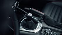 180409_ab_124_spider_011_0.jpg