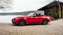 180409_ab_124_spider_018_0.jpg