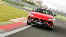 rosso_anteros_track_dynamic_01.jpg