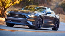 magnetic-mustang-3.jpg