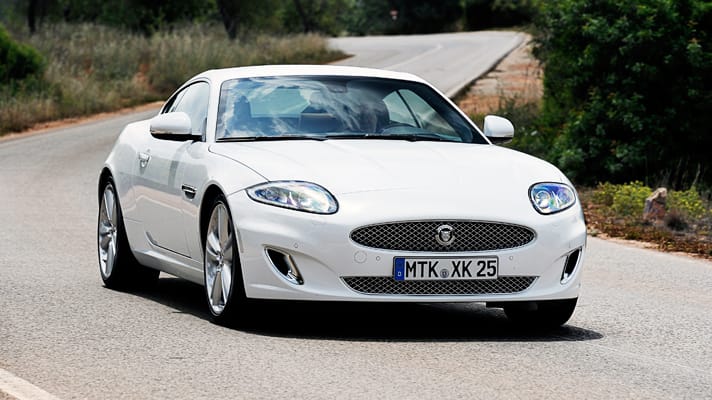 Large Image (optional)_467.jpg