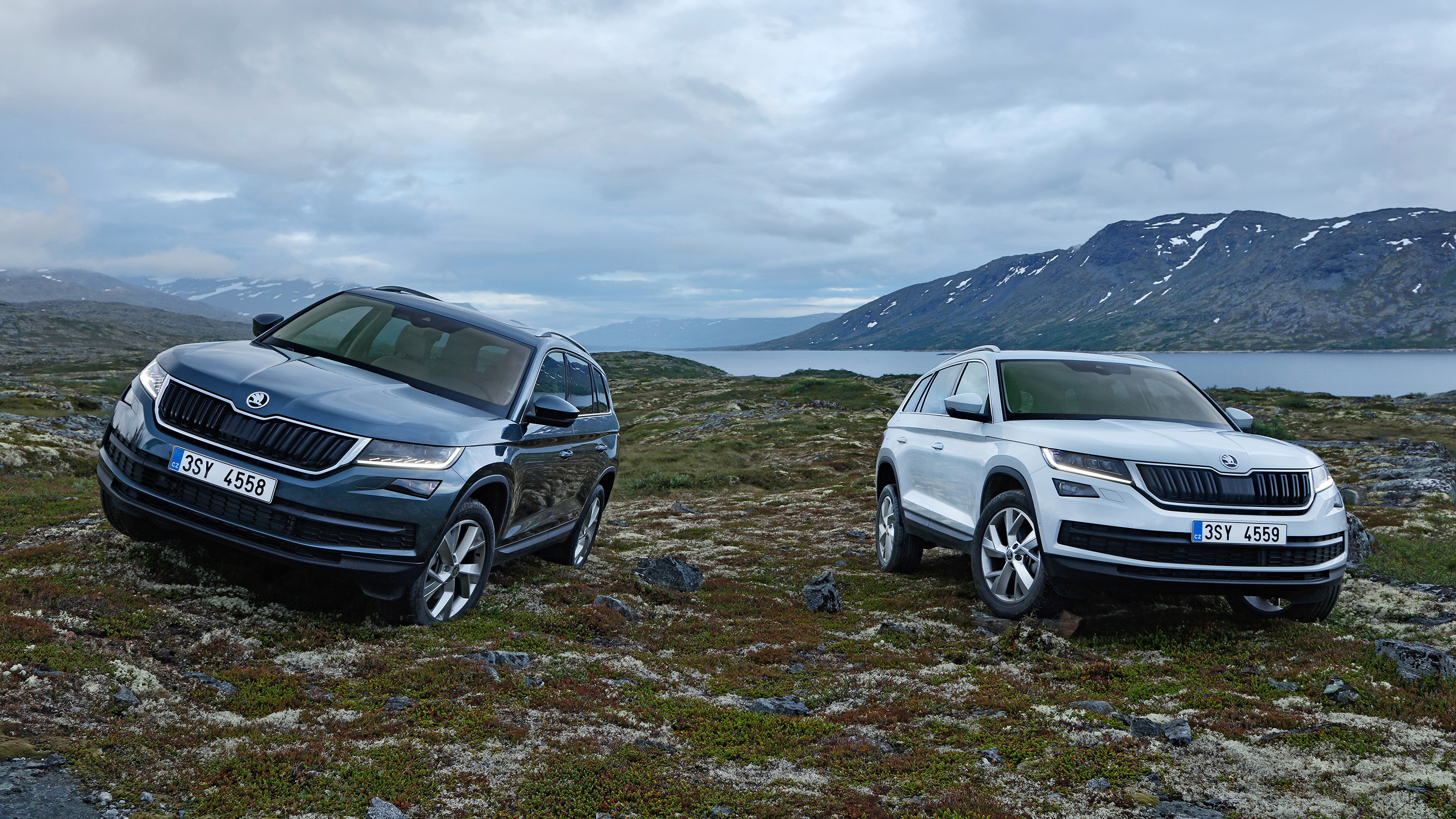 Kodiaq review: new seven-seat SUV driven 2023 | Top Gear