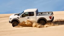 white_raptor_152_c1.jpg
