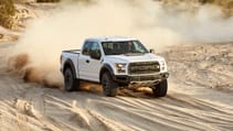 white_raptor_185.jpg