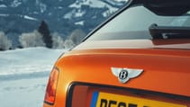 orange_flame_-_21.jpg