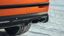 orange_flame_-_24.jpg