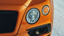 orange_flame_-_25.jpg