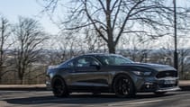 q500_panning_shots-6284.jpg