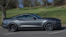 q500_panning_shots-6386.jpg