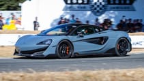 mcl_gfos_2018-6279.jpg