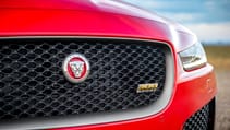 jxe300sport19my190418053.jpg