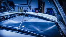 db6_175.jpg