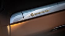 s19_1895_fine.jpg