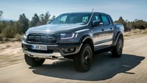 raptor_conquer_grey_009.jpg