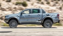 raptor_conquer_grey_024.jpg