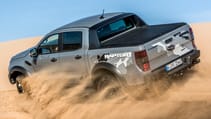 raptor_conquer_grey_051.jpg